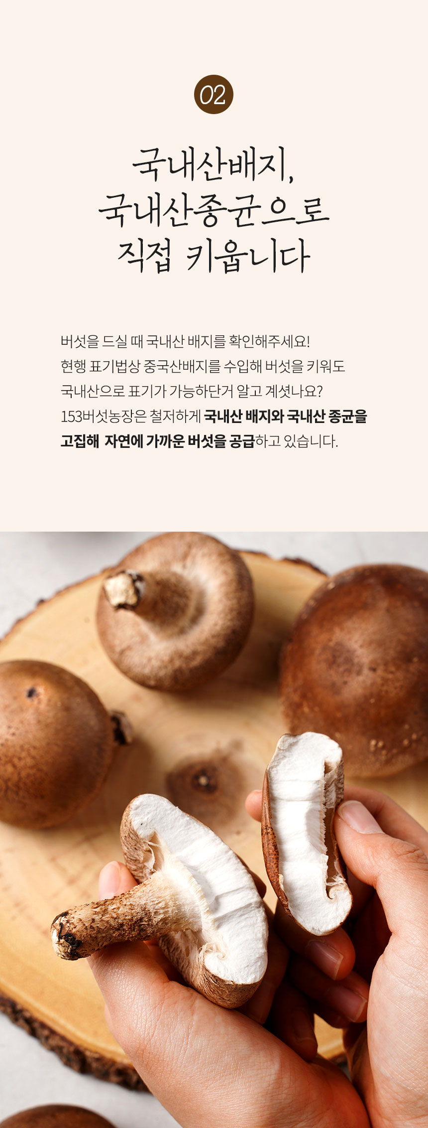 [153버섯농장] 표고버섯 선물세트 1호