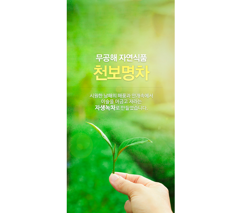 [천보다원] 천보명차 도라지대추차 40g